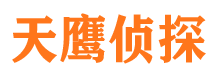 环翠市调查公司